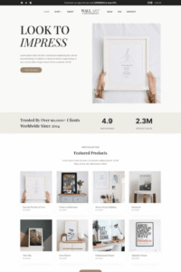 Custom Business Website Design - Best Web Designer & WordPress Ecommerce Expert