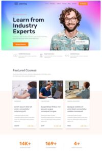 Small Business Website Design Service -Elementor Insights