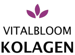 The Best Small Business Website Design Services with Webzlo